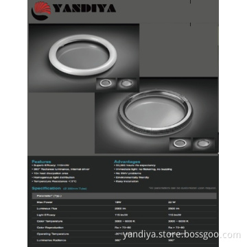 LED CIRCULAR RING TUBES
